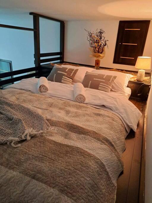 Sofia'S Home Comfy Studio In The Old Town Brasov Exterior photo