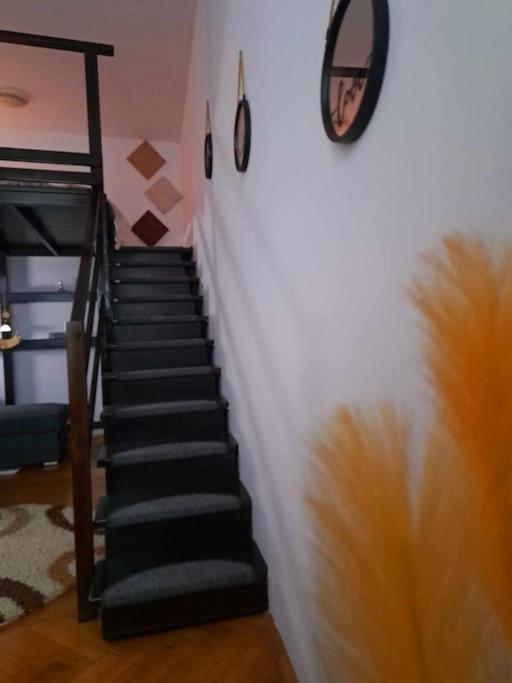 Sofia'S Home Comfy Studio In The Old Town Brasov Exterior photo